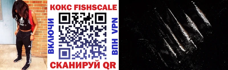 Купить где  Красновишерск  Кокаин FishScale 