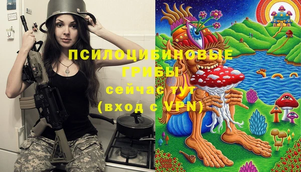 мескалин Козловка